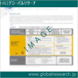 グローバルリサーチ調査レポートのイメージ